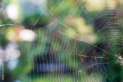 Close up part of white spiderweb hanging outdoors for natural background