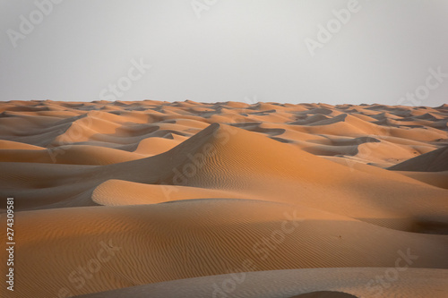 Dünen in der Wüste im Oman