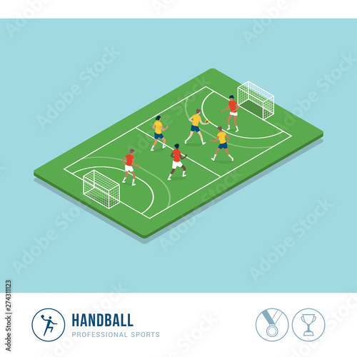 Professional sports competition: handball