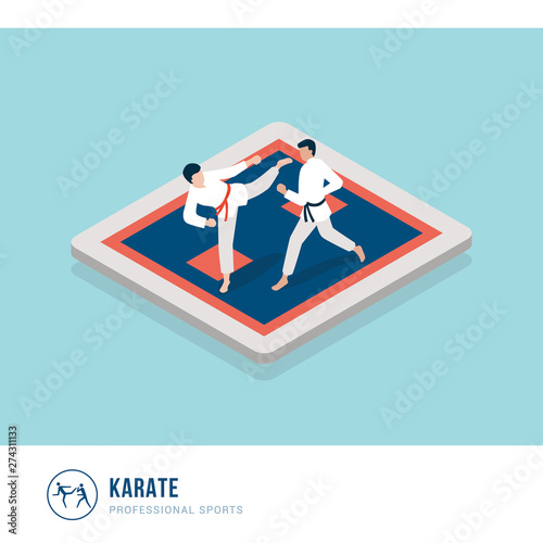 Professional sports competition: karate