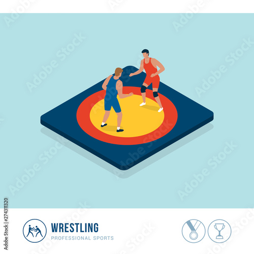 Professional sports competition: wrestling
