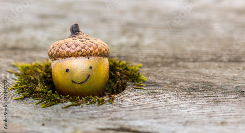 Cute fall scene, with a happy acorn peeking out of a mossy hole with room for text or copy. Concepts of autumn, seasons, educational resources photo