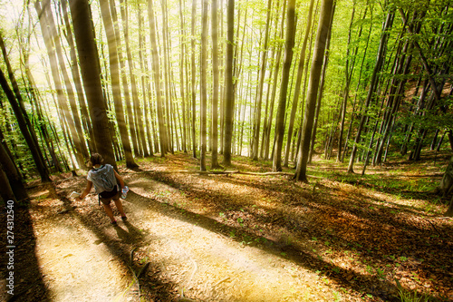 Fototapeta Naklejka Na Ścianę i Meble -  A bright lightened path in the forest with sunbeams