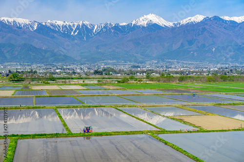 安曇野の水田と北アルプス