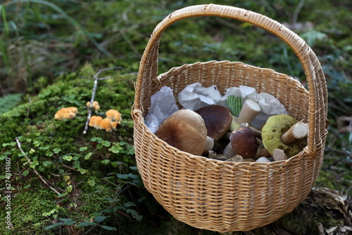 Beautiful mushrooms in a wicker basket