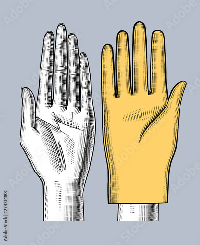 Female bare and gloved hands