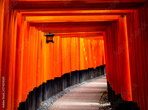 1000 Tori gates