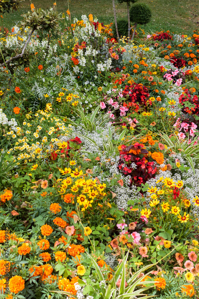 Beautiful flower bed with flowers of all colours