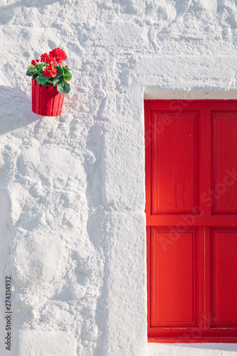 Fototapeta Naklejka Na Ścianę i Meble -  View of white street and flowers in Bodrum city of Turkey. Aegean style colorful street, wall, house and flowers in Santorini, Mykonos / Greece. White wall, red doors and flowers.