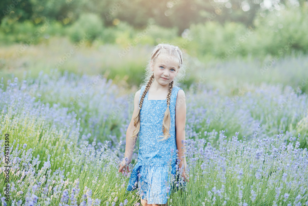 Little girl in lavender field. kids fantasy. Smiling girl sniffing flowers in summer purple lavender field.