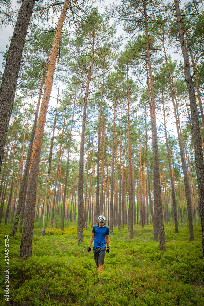 Fototapeta premium wandering cyclist in nature without bicycle