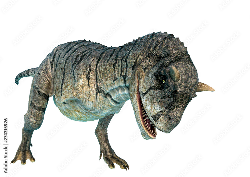 Obraz premium carnotaurus sastrei charging in a white background
