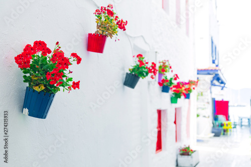 View of white street and flowers in Bodrum city of Turkey. Aegean style colorful street, wall, house and flowers in Bodrum. 