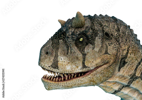 carnotaurus sastrei in a white background photo