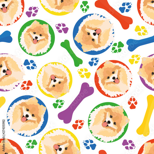 Bunt und verspielt Chow-Chow