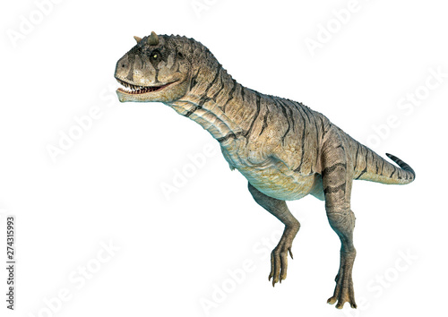 carnotaurus sastrei is hunting up in a white background