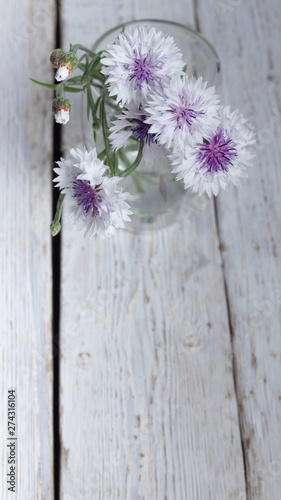 Bouquet of white cornflower in a glass on a white wooden background