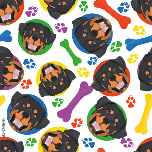 Bunt und verspielt Rottweiler