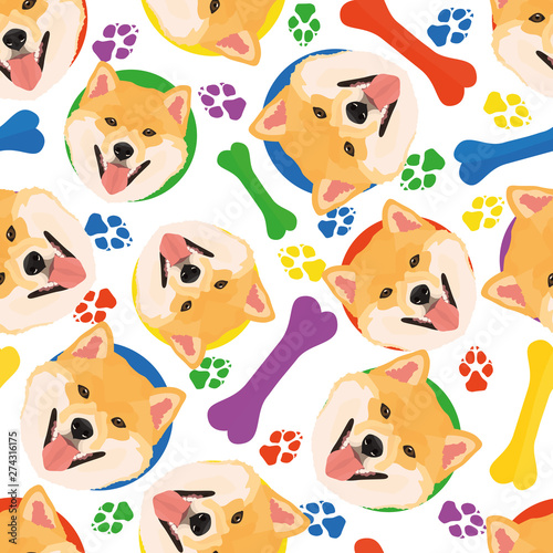Bunt und verspielt Shiba Inu