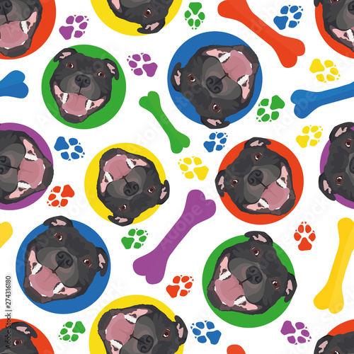 Bunt und verspielt Staffordshire Bullterrier