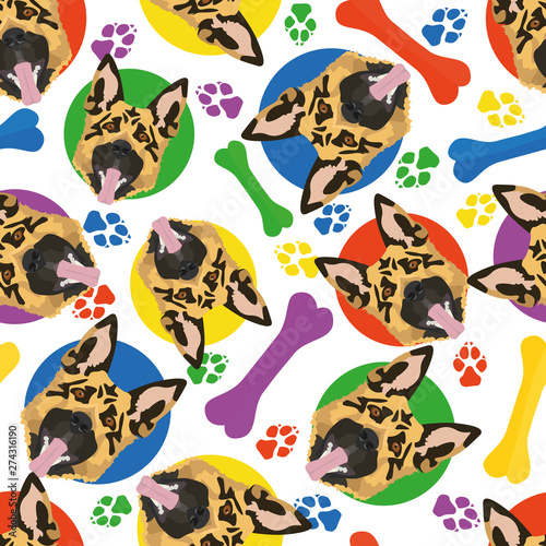 Bunt und verspielt Schäferhund
