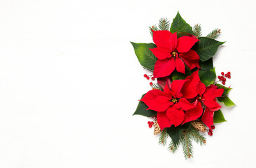 Christmas card or leaflet template with botany natural decor