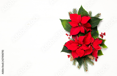 Christmas card or leaflet template with botany natural decor photo