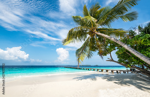 Tropical island with palm tree and beautiful beach