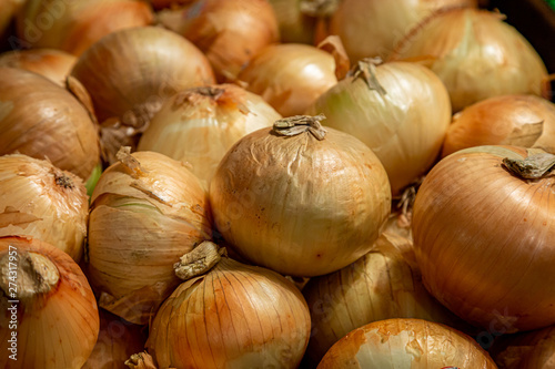 A full frame photograph of onions for sale on a market stall