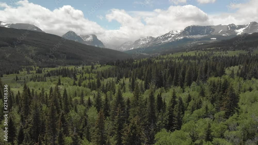 Forward tracking flight through vast wide lush green valley forest, rocky mountains in background Forward tracking flight through vast wide lush green valley forest, rocky mountains in background