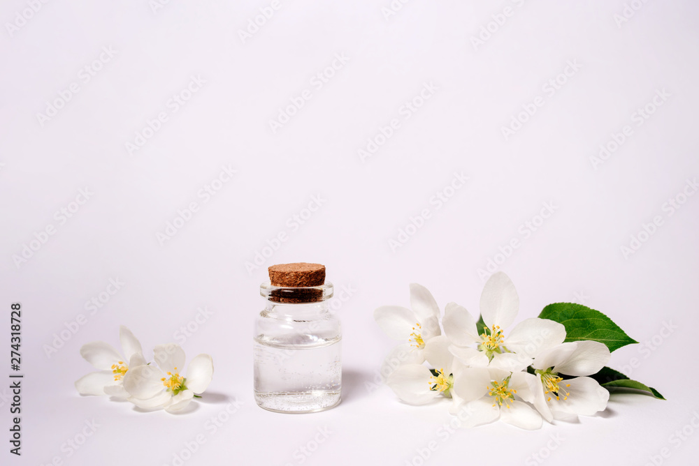 Spa natural cosmetic concept. White background with copy space for text. Spa natural cosmetic concept. White background with copy space for text.