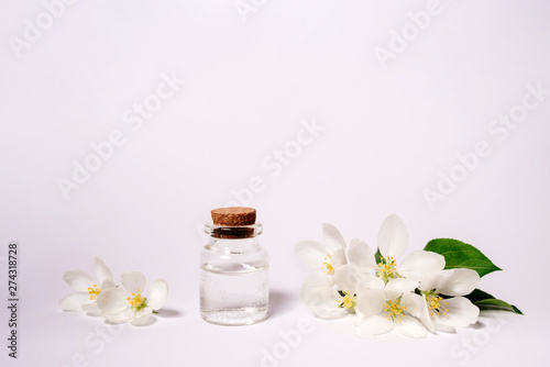 Spa natural cosmetic concept. White background with copy space for text.