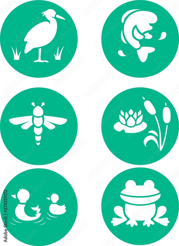 Water animals stencil green set Water animals stencil green set