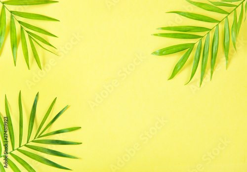Palm leaves yellow background Floral flat lay Summer holidays