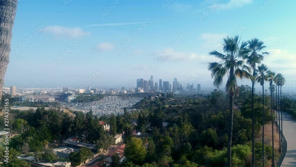 Stunning drone shot of palm tree downtown Los Angeles, California - 4K UHD Stunning drone shot of palm tree downtown Los Angeles, California - 4K UHD