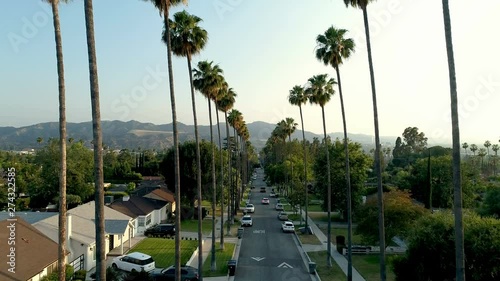 Aerial drone of palm tree lined neighborhood in Los Angeles, CA 4K UHD