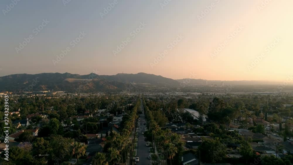 Fast drone rise in palm tree neighborhood in Los Angeles Fast drone rise in palm tree neighborhood in Los Angeles