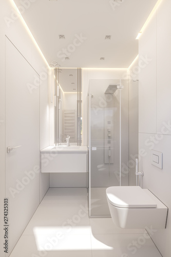 3d illustration of a bathroom in a private cottage. Interior design in white