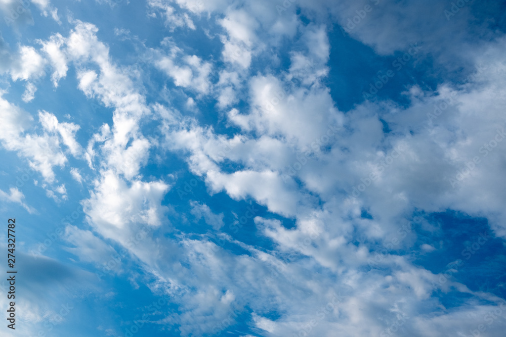 Fototapeta premium blue sky with white clouds