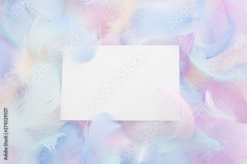 abstract nackground with soft colorfull feathers and white frame. Flat lay photo