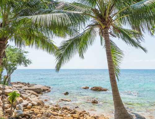 Fototapeta Naklejka Na Ścianę i Meble -  Landscape view at Koh Tao island beach with coconut palm trees on sunny day
