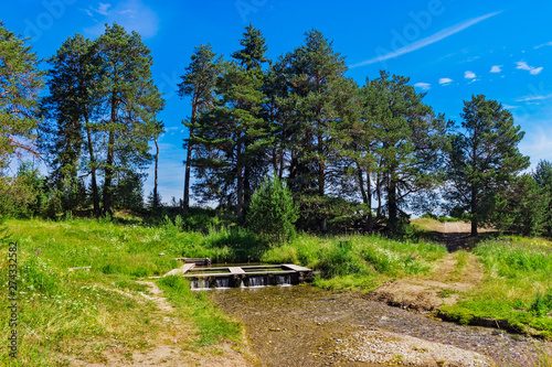 rill in the countryside on a sunny summer day © Alx_Yago