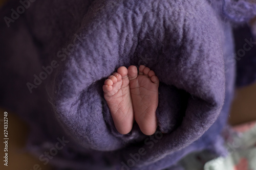 feet of a newborn baby on a purple background . selective focus © Svetlana