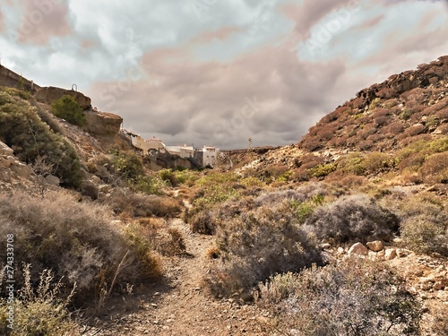 Walk through wild scrubland in the village of Abades in the south of Tenerife photo