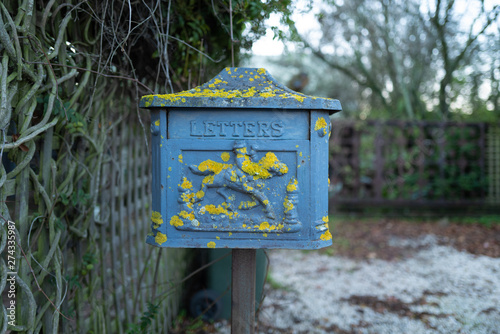 Old blue mail box with lichen growth