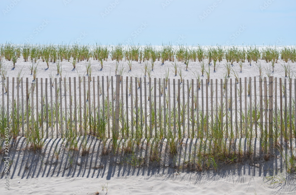 dunes and ocean with a fence