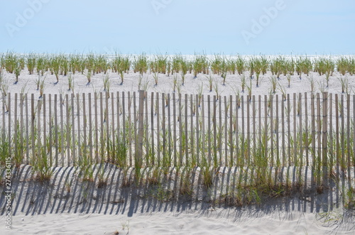 dunes and ocean with a fence