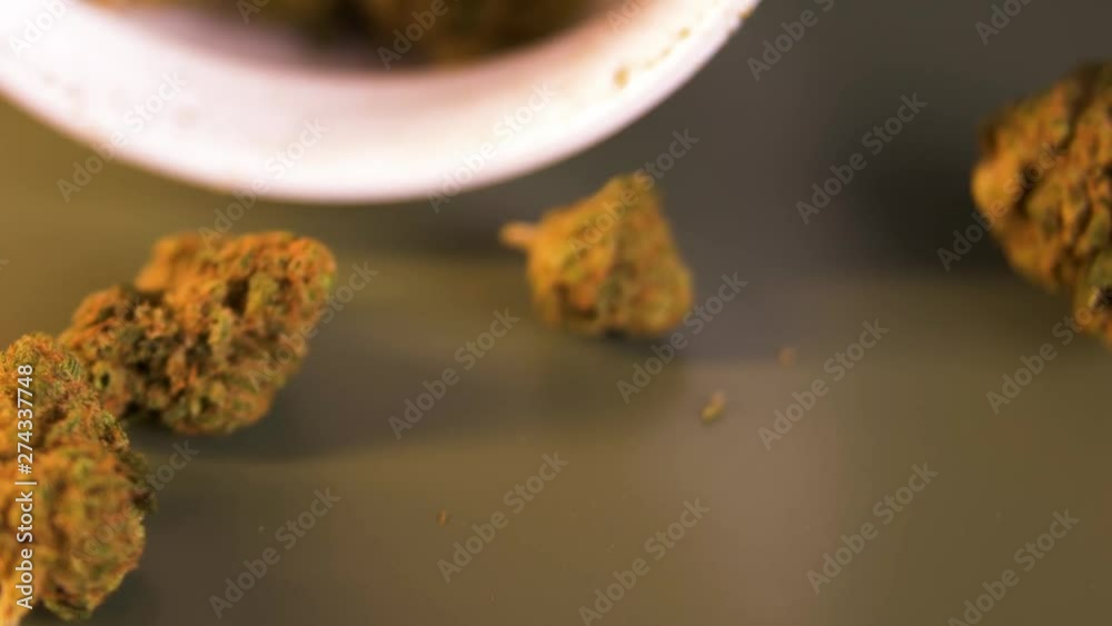 Cannabis Bud Dropping Onto Table Cannabis Bud Dropping Onto Table