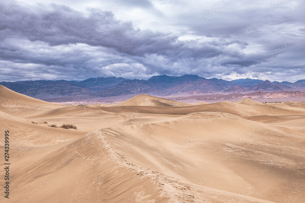 Death Valley National Park Dunes