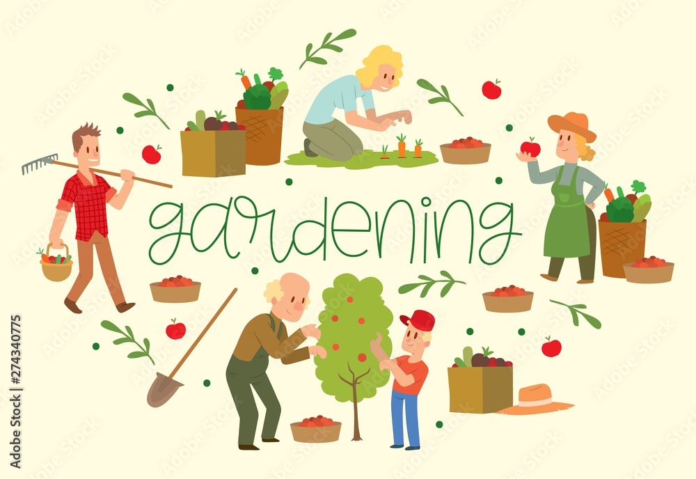 Fototapeta premium Gardening banner vector illustration. Equipment for land such as rake, shovel, bucket. Farmer picking fruit and vegetable harvest. Female and male characters harvesting. Baskets.